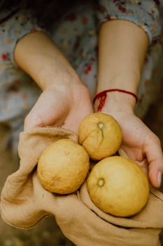 Close-up of hands holding fresh lemons in a rustic outdoor setting, evoking a summery feel.