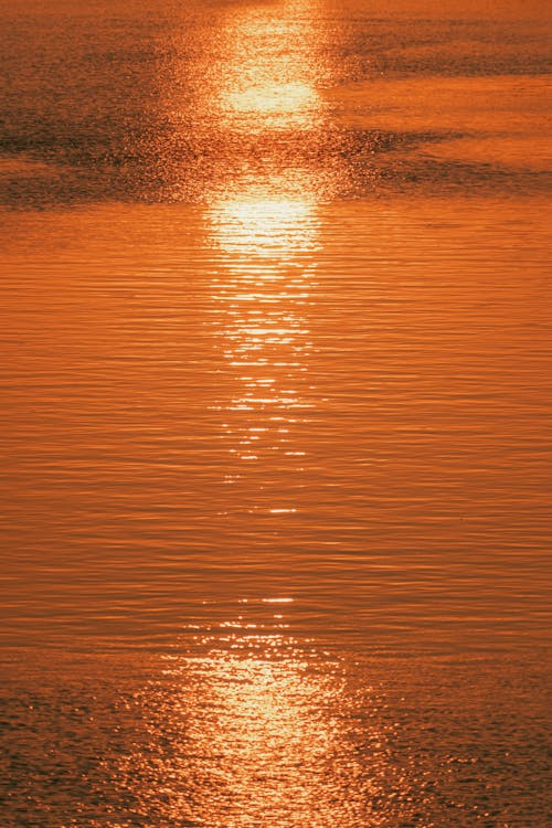 Lake During Sunset 