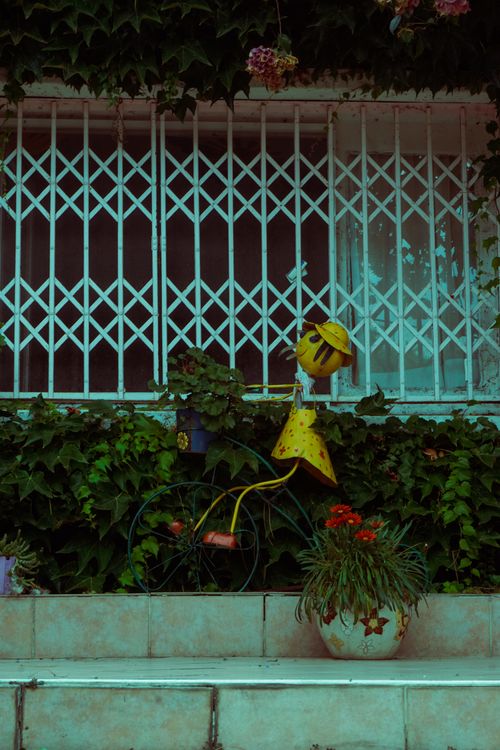 Free Colorful bicycle sculpture amidst greenery with barred window backdrop. Stock Photo