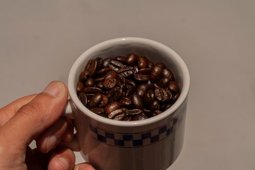 Free Close-up of a hand holding a cup filled with fresh coffee beans against a white background. Stock Photo