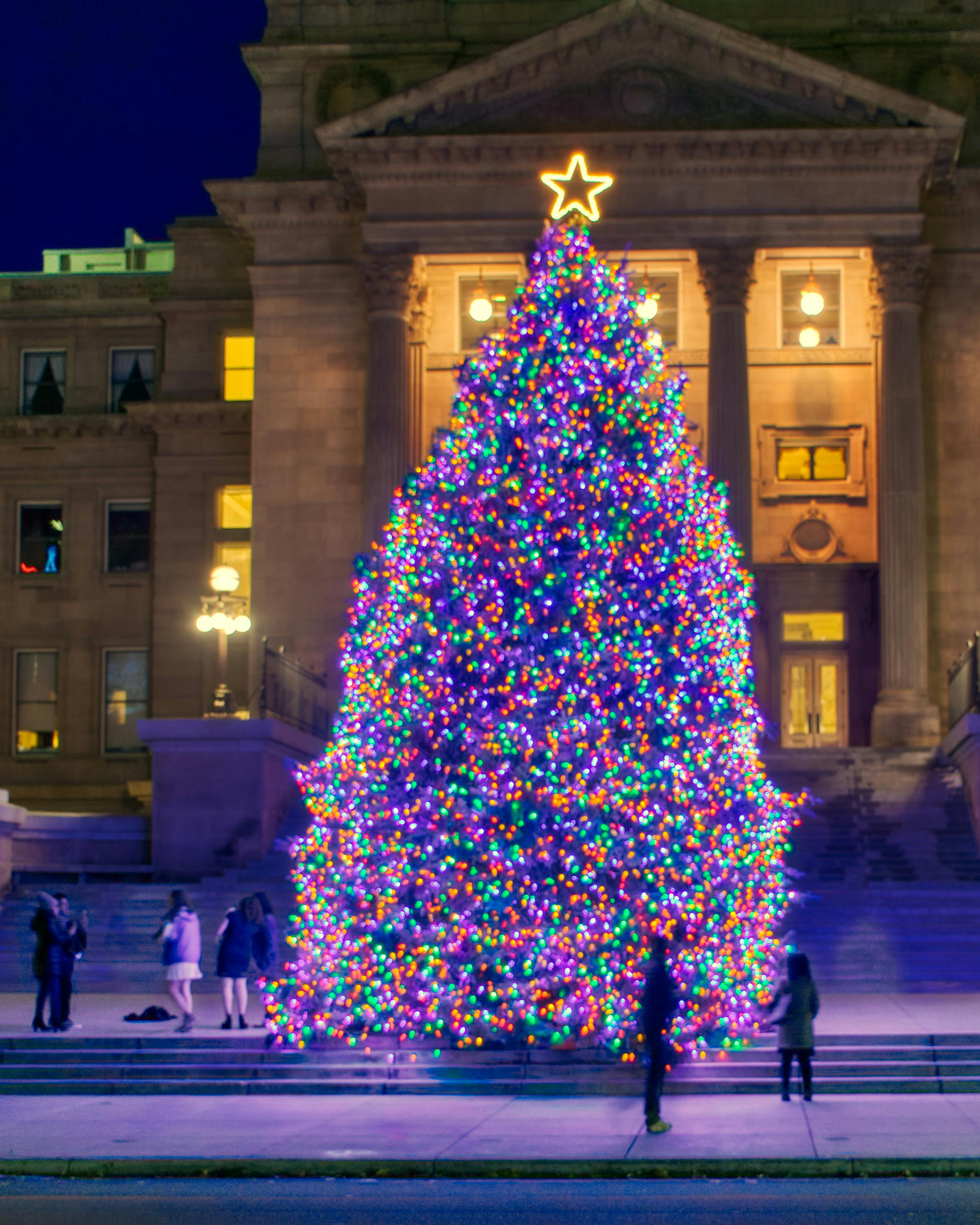 Free stock photo of Capitol, christmas tree, night
