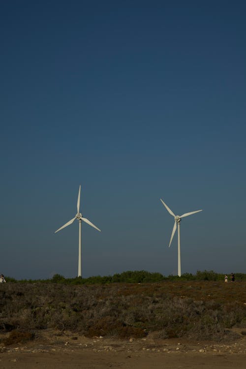 View of Wind Turbines on a Field 