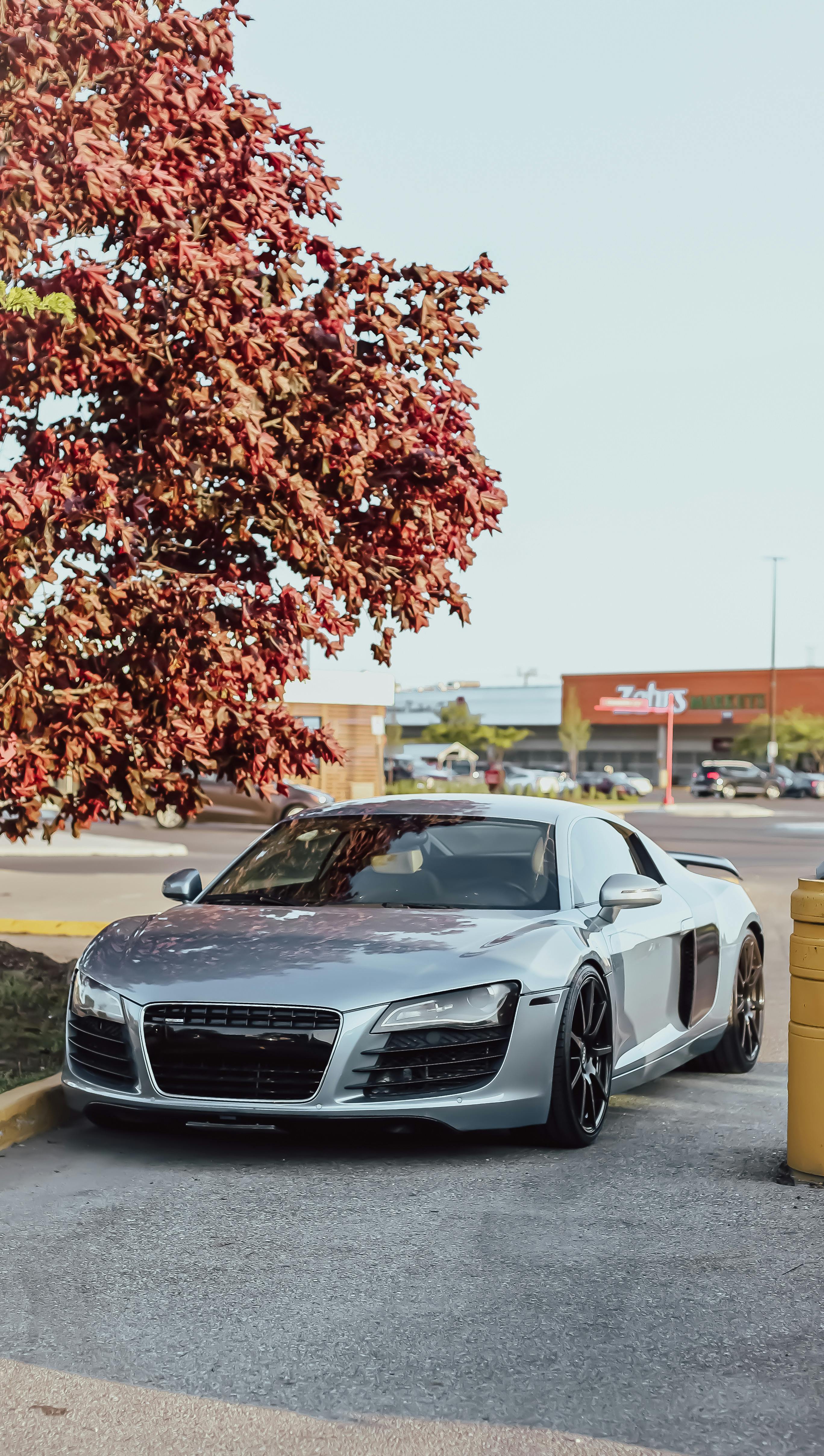 A luxurious silver sports car parked near red foliage in an urban setting.