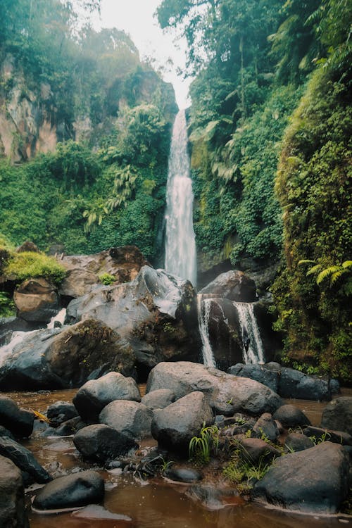 Plunge Waterfalls