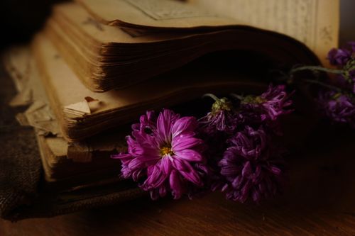 Free A vintage book with purple flowers on a wooden table, creating a nostalgic ambiance. Stock Photo