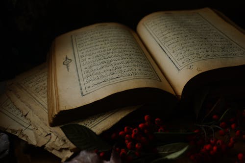 Still Life with Vintage Books