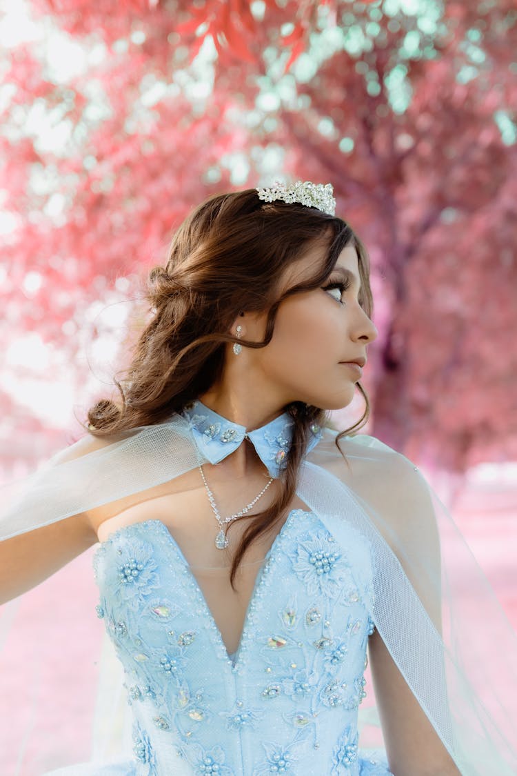 Young Woman In A Princess Dress And A Tiara Posing Outdoors 