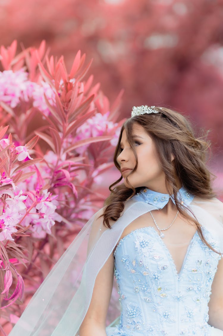 Young Woman In A Princess Dress And A Tiara Posing Outdoors 