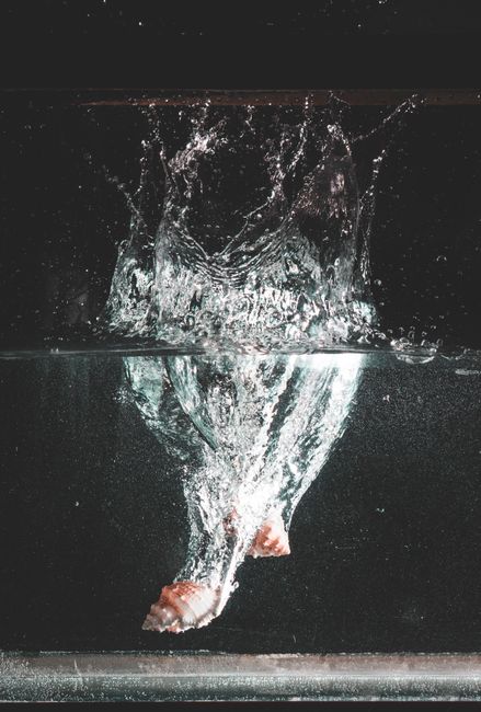 Capture of a seashell creating a dynamic splash underwater with visible bubbles.