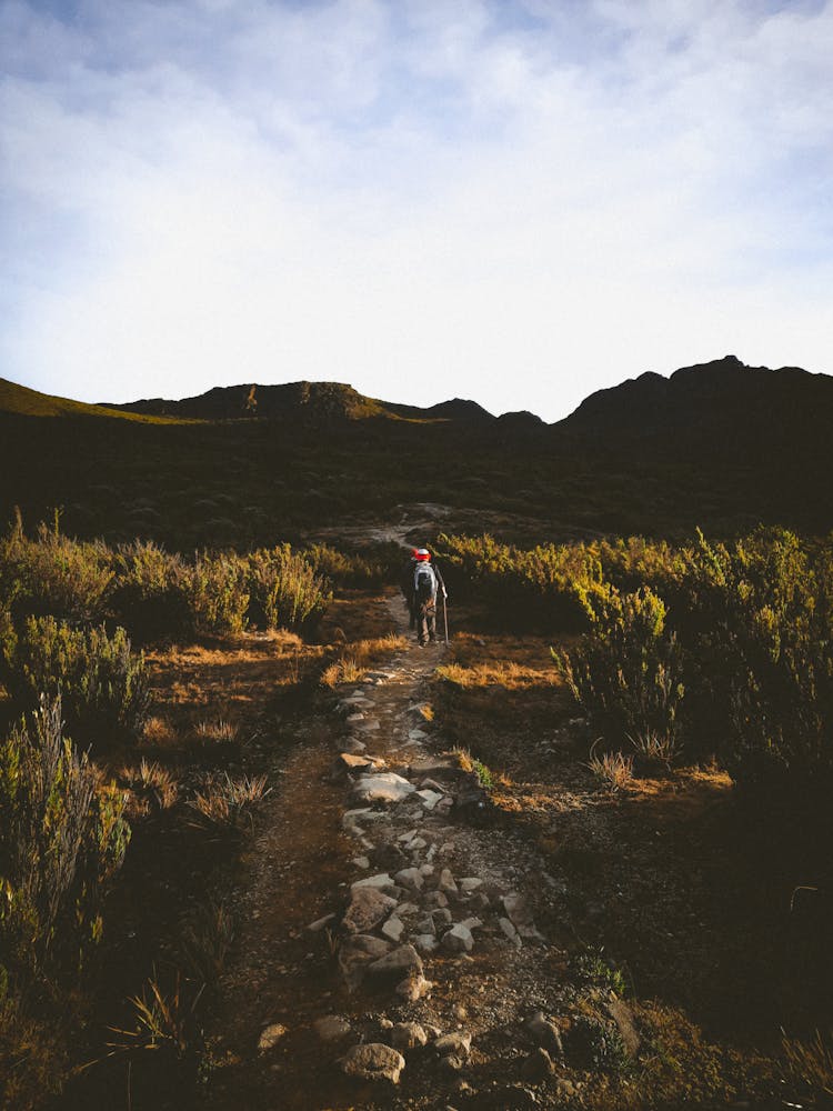 People Crossing A Rugged Heath Terrain On A Rough Stone Trail