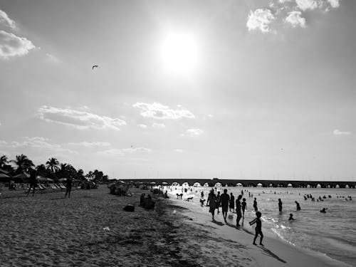 People on Beach in Black and White