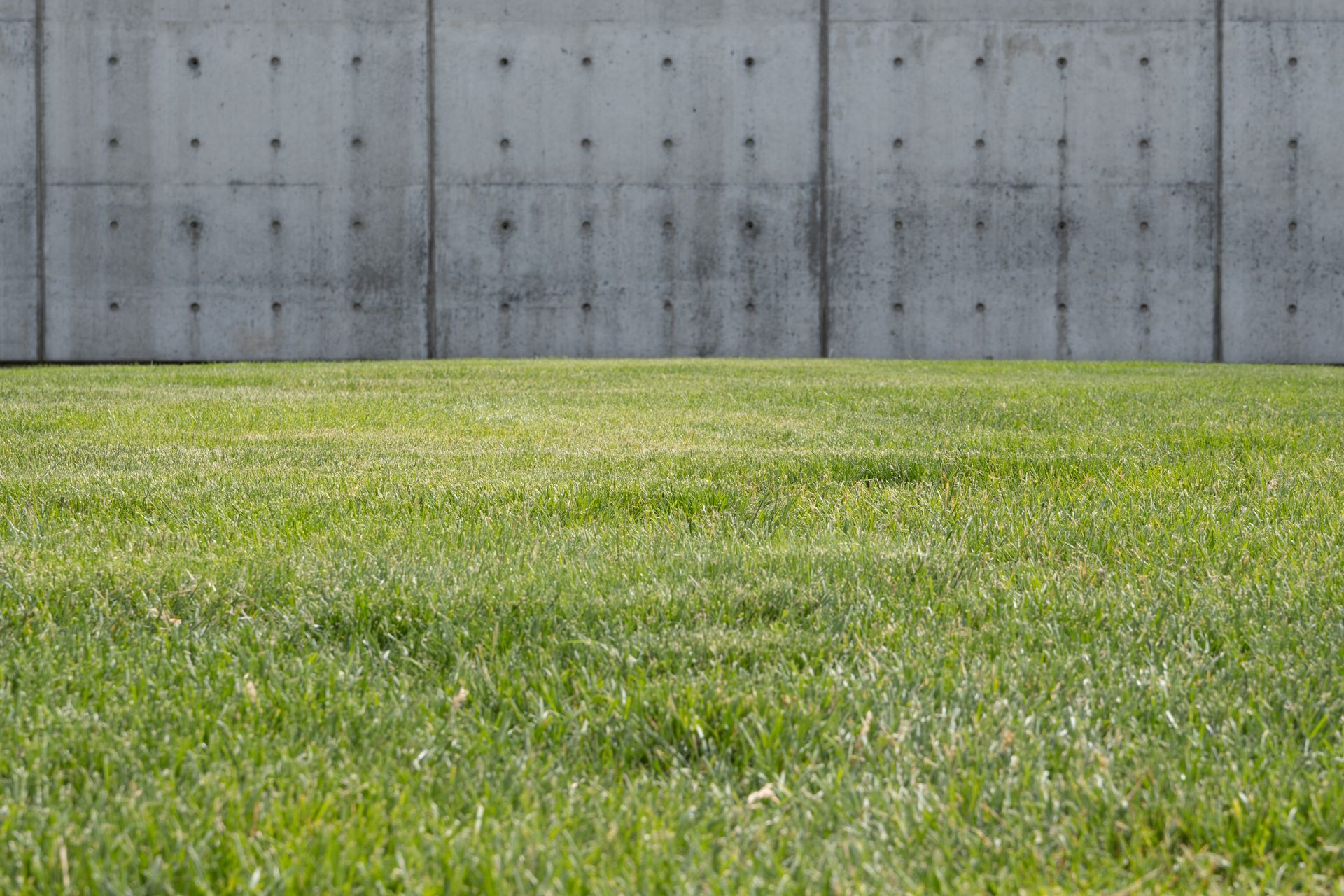 Short Grass and Wall behind