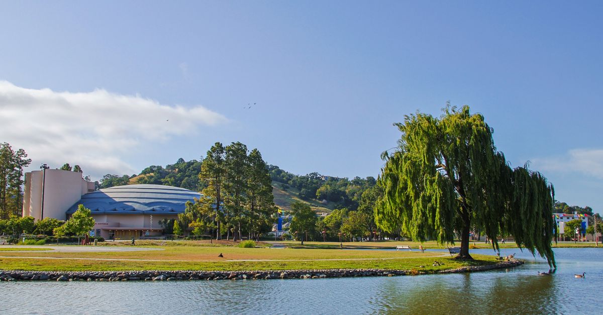 A tranquil lake scene with Marin County Civic Center and lush willow trees under a clear summer sky.