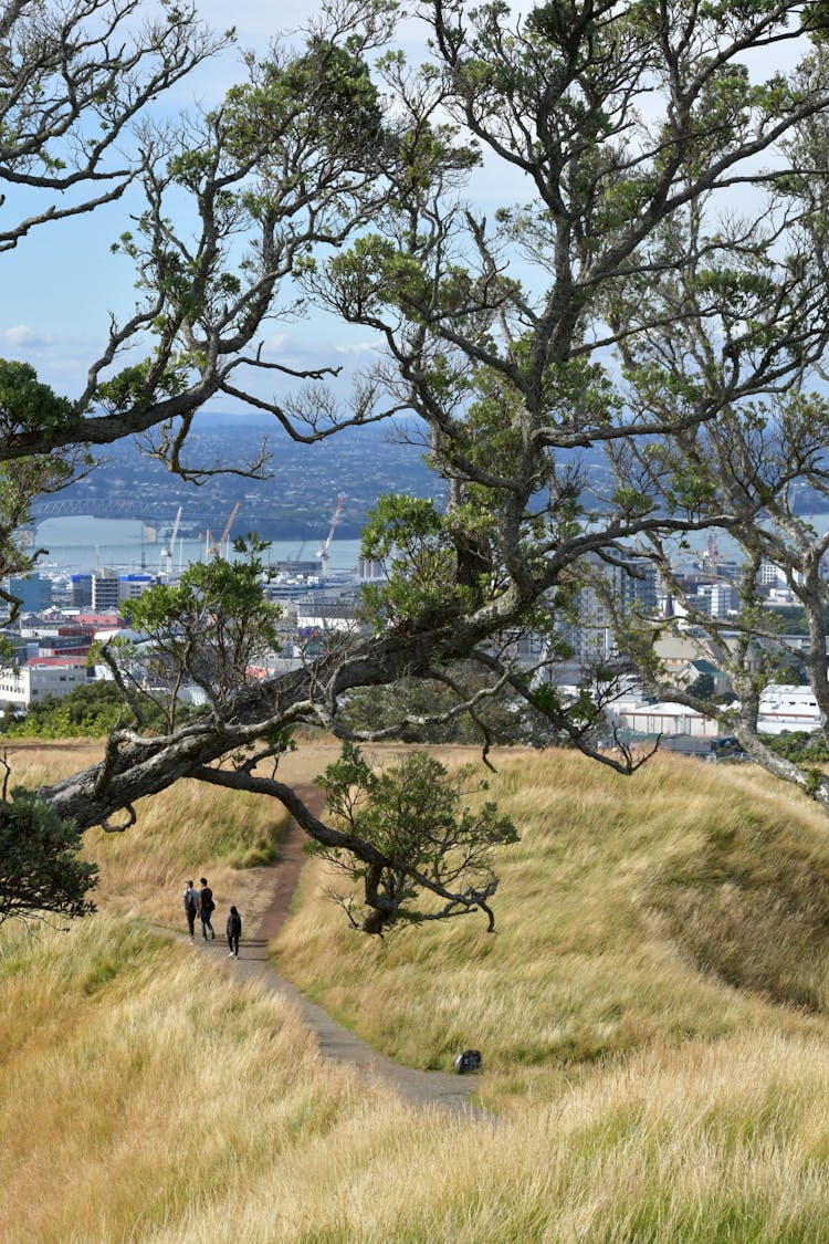 People Walking On Hill Outside City