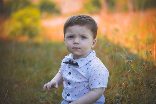 Free Selective Focus Photography of Toddler Wearing White Polo Shirt Stock Photo