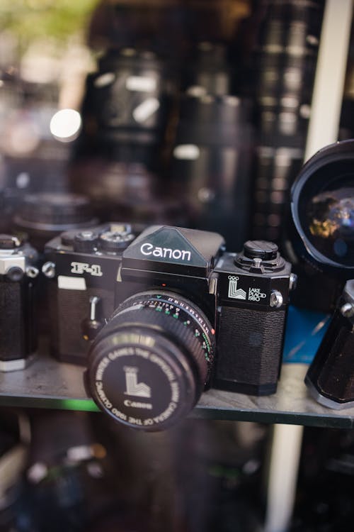 50,000+ ภาพถ่าย กล้องฟิล์ม ที่ดีที่สุด · ดาวน์โหลดฟรี 100% · ภาพถ่ายสต็อก  Pexels