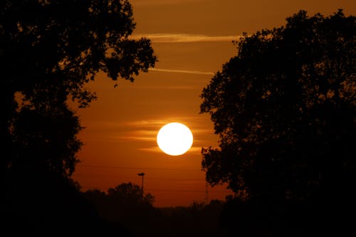 Gratis lagerfoto af bagbelyst, guld, silhouet