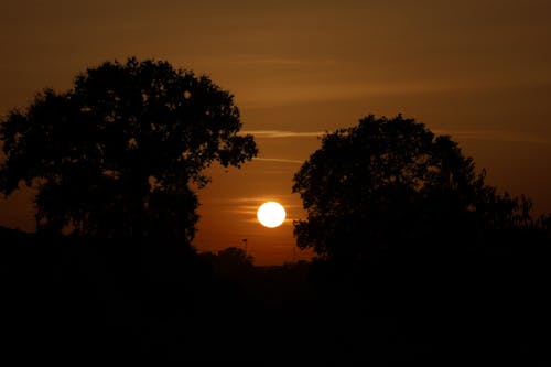 Gratis stockfoto met achtergrond, avond, bomen