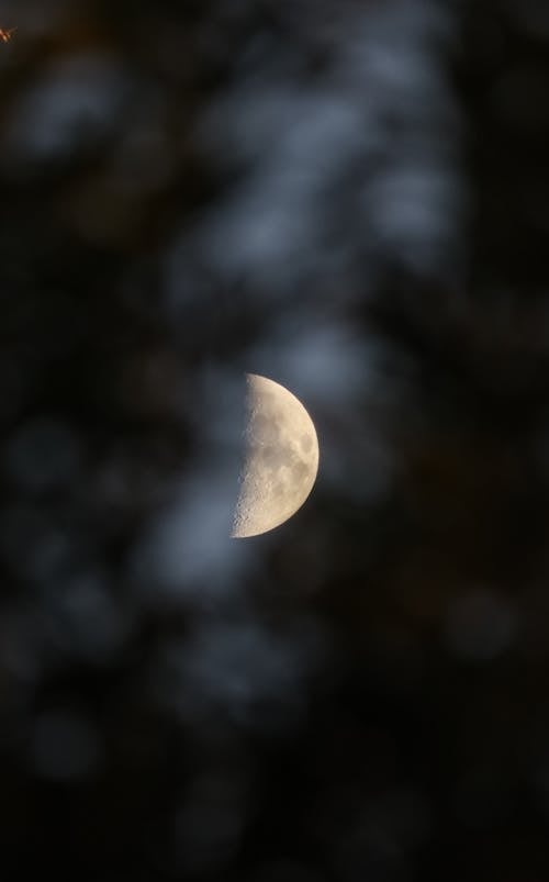 Close-up of the First Quarter Moon 