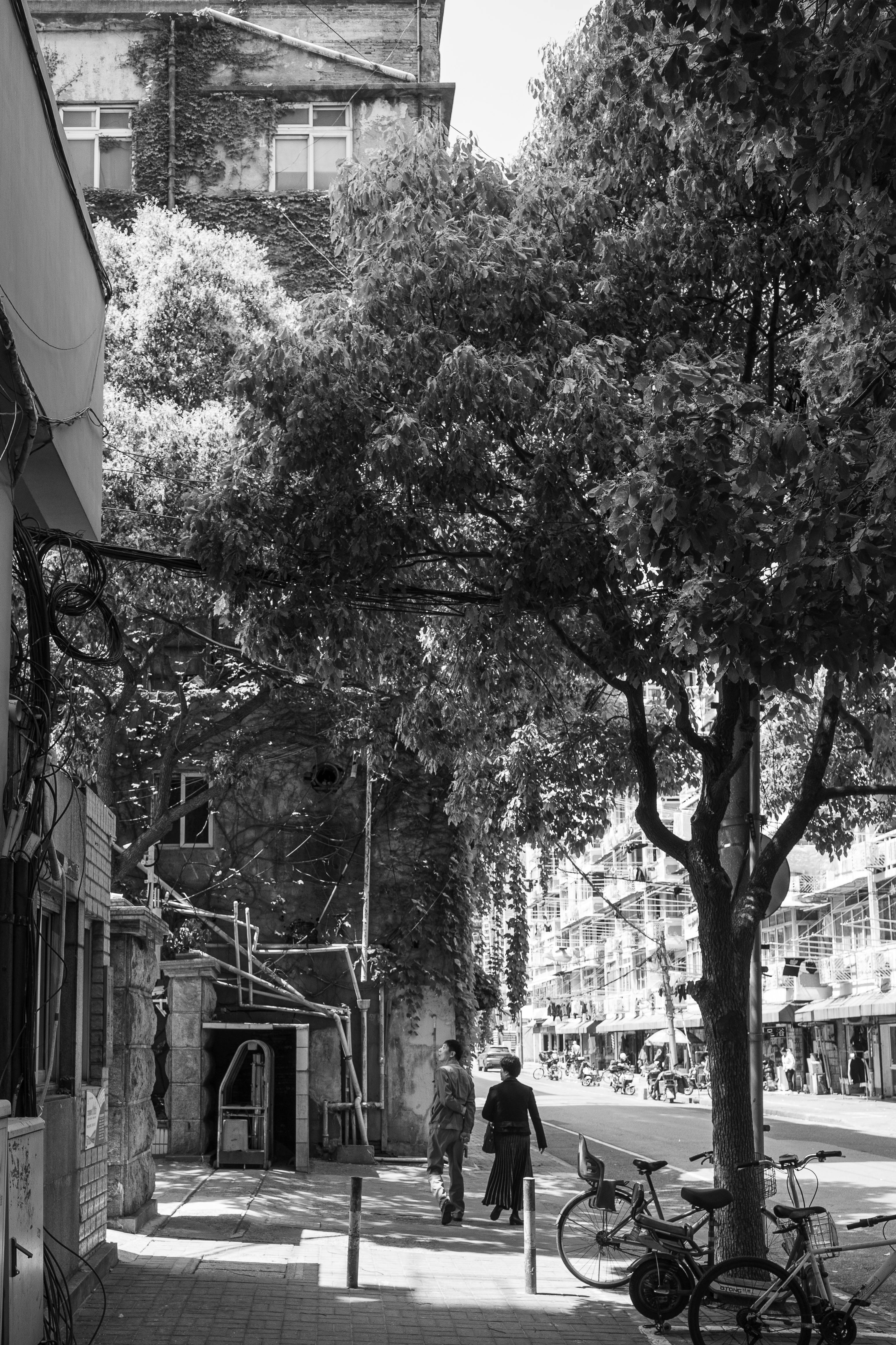 Gratis lagerfoto af arkitektur, arkitektur detaljer, by Lagerfoto