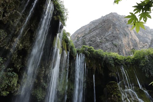 Foto d'estoc gratuïta de Canon, cascada, competició