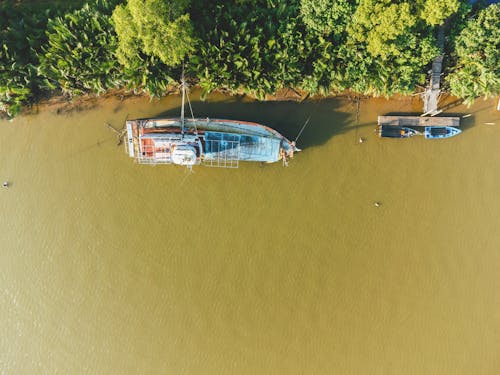 Photos gratuites de arbres, bateaux, eau