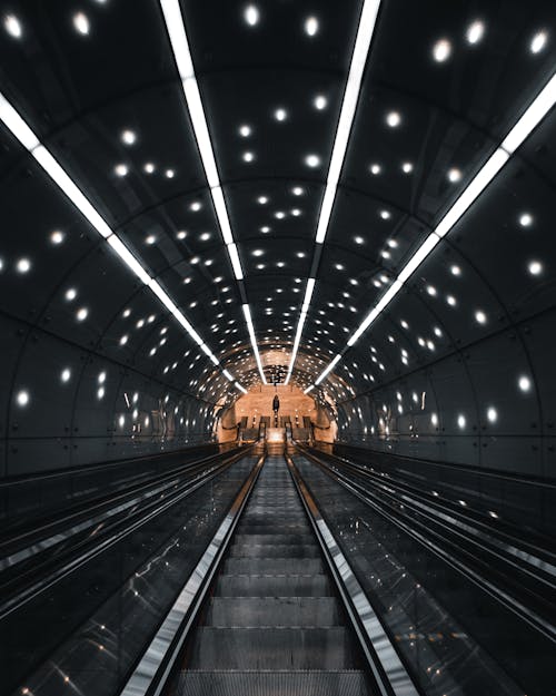 Foto profissional grátis de contemporâneo, escada rolante, escadas rolantes