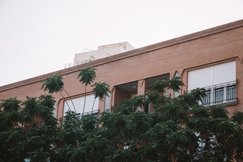 Vista en ángulo bajo de un edificio de ladrillo con exuberantes árboles en Valencia, España.