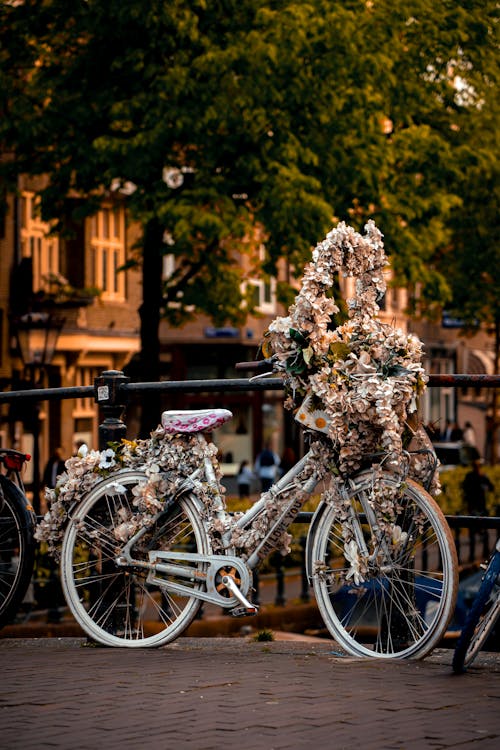 Immagine gratuita di albero, bicicletta, città
