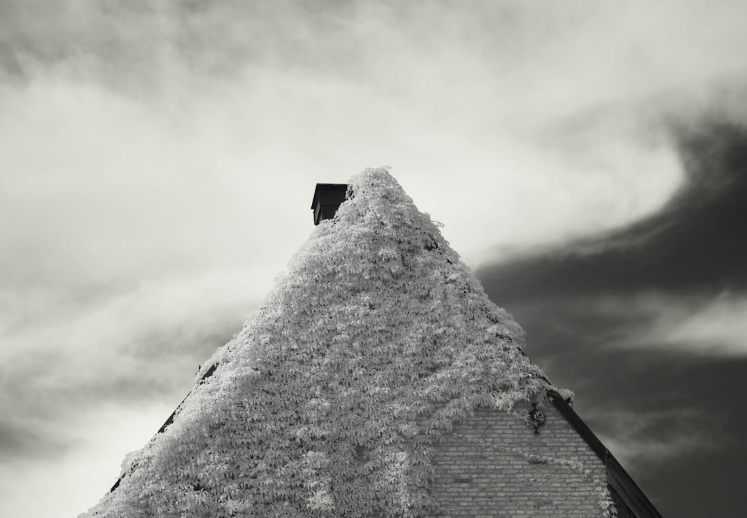 Clouds over Pyramid with Ivy on Wall