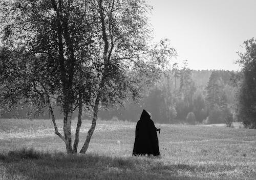Back of a Cloaked Person Standing in a Meadow