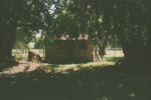 Fotobanka s bezplatnými fotkami na tému chata, dedinský, dom