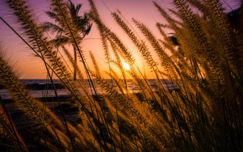 Saudi Arabia for Couples: 12 Most Romantic Activities