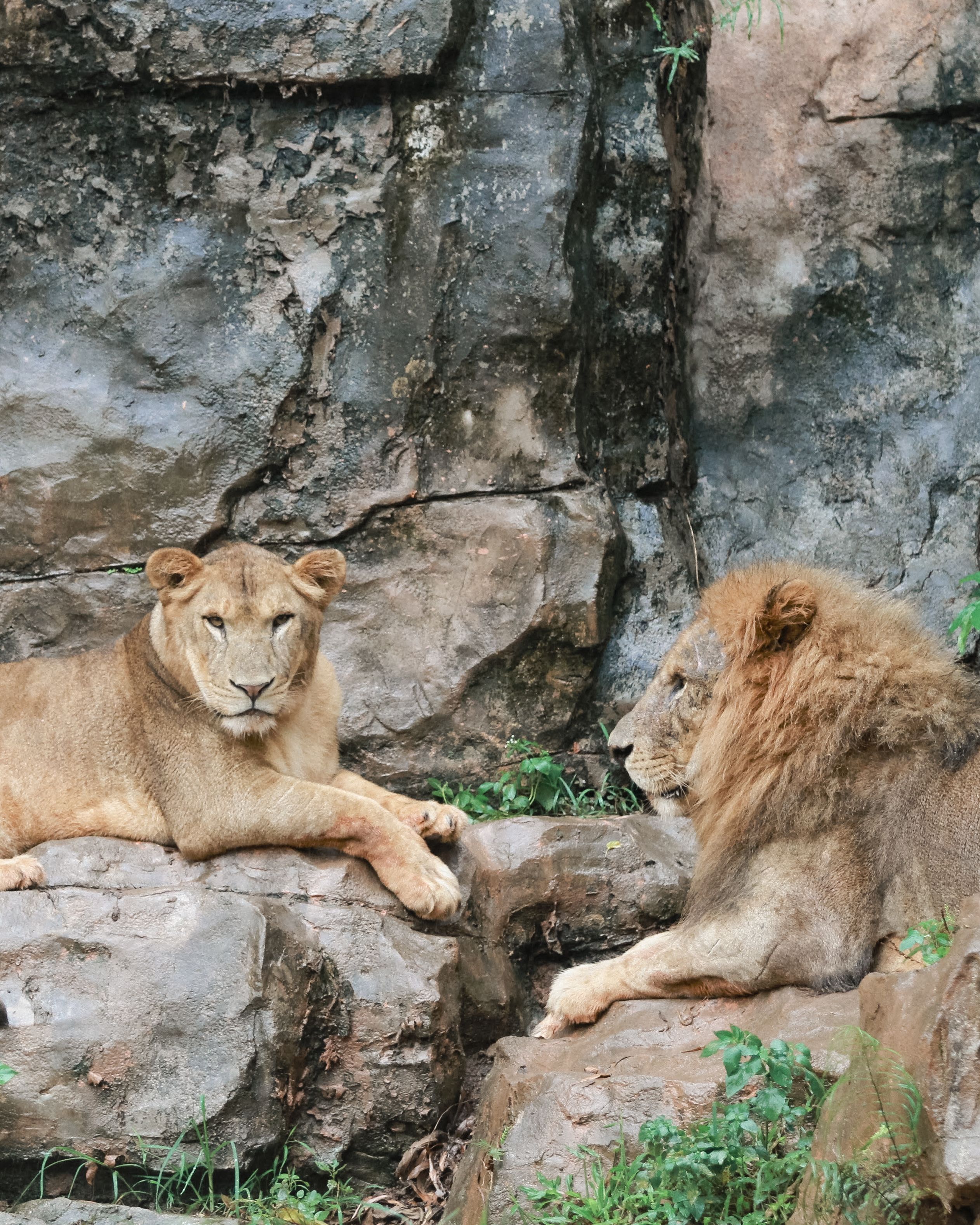 Lions Nature Education Centre