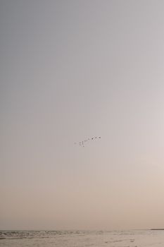 Peaceful sunset scene over the ocean with birds in the sky, creating a tranquil atmosphere.