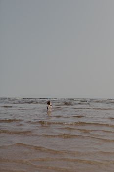 A dog joyfully plays in the shallow waves on a sandy beach under a clear sky.