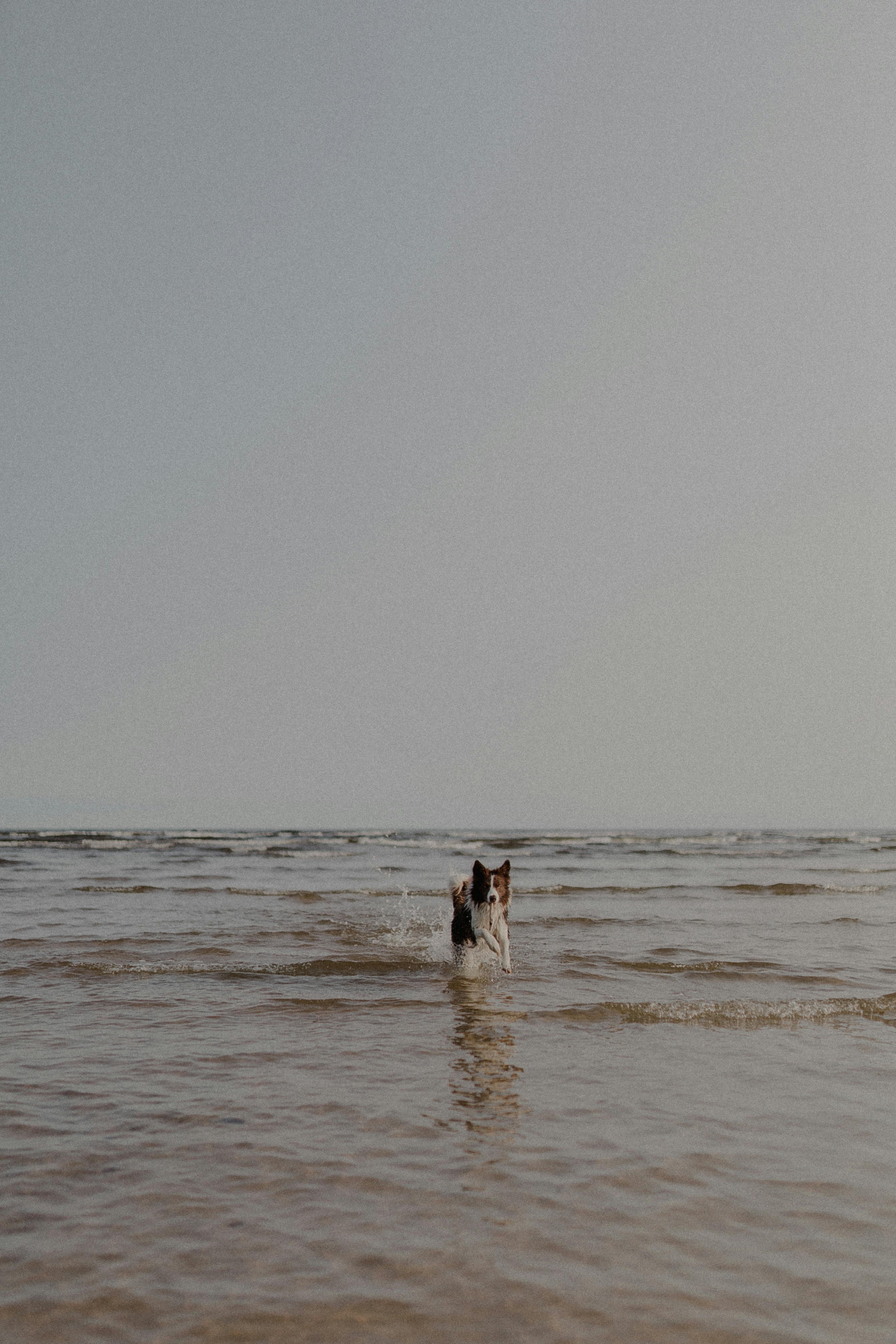 Happy Woman Running on Sand Beach · Free Stock Photo