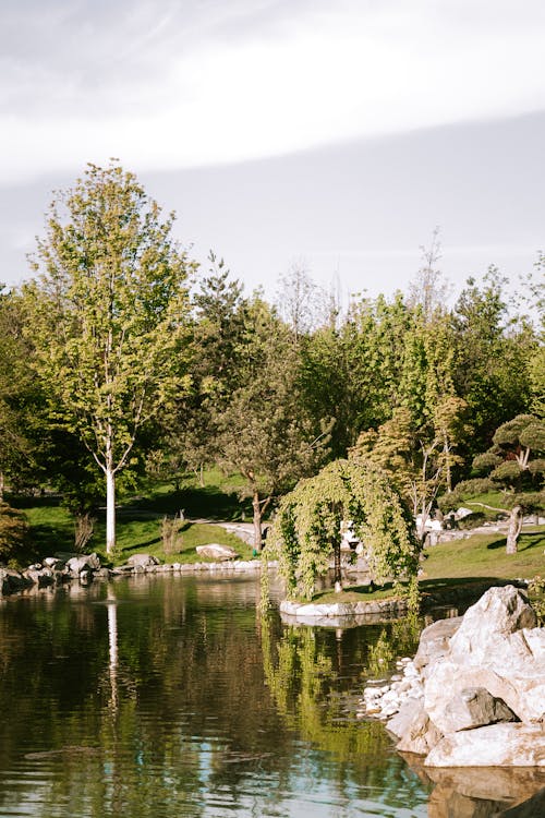 Kostnadsfri bild av grön, park, sjö