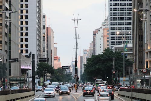 Imagine de stoc gratuită din arbori, autoturisme, clădiri