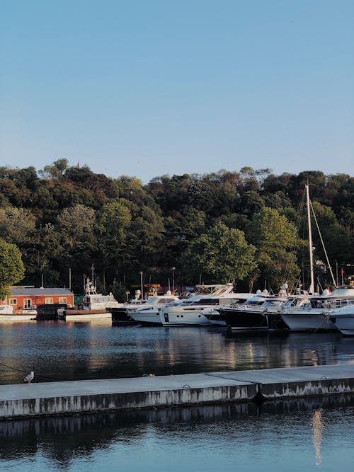 Gratis lagerfoto af anløbsbro, fortøjet, lodret skud