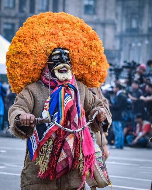 Základová fotografie zdarma na téma barevný, chůze, festival