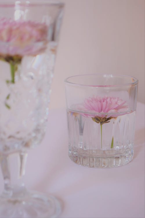 Pink Flowers in Glasses with Water