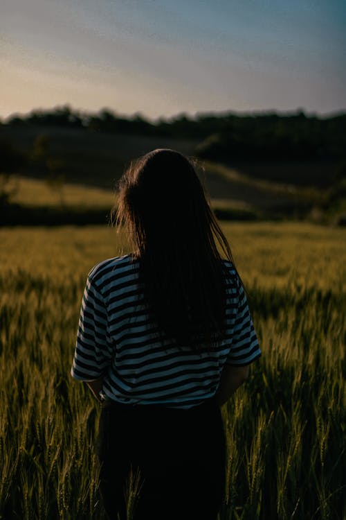 Gratis stockfoto met achteraanzicht, dageraad, kijkend