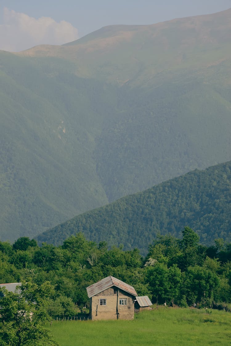 Summer Mountain Landscape