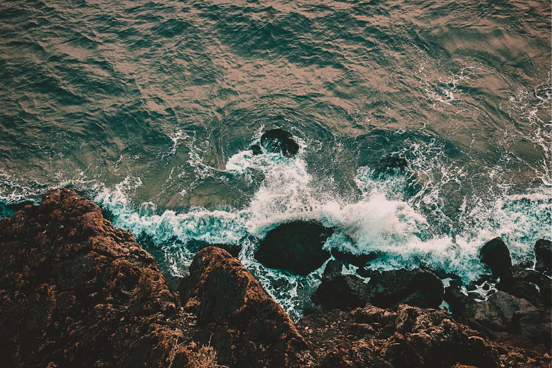 Top View Photo of Rocky Shore · Free Stock Photo Top View Photo of Rocky Shore · Free Stock Photo