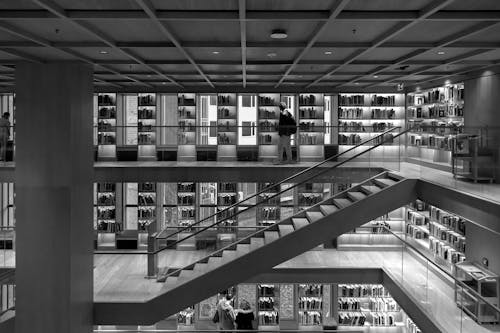 Library Interior in Black and White