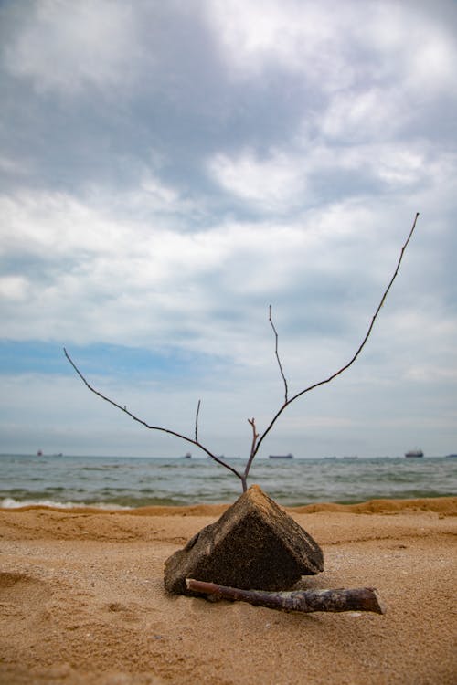 Foto d'estoc gratuïta de al costat de la platja, cels ennuvolats, Costa