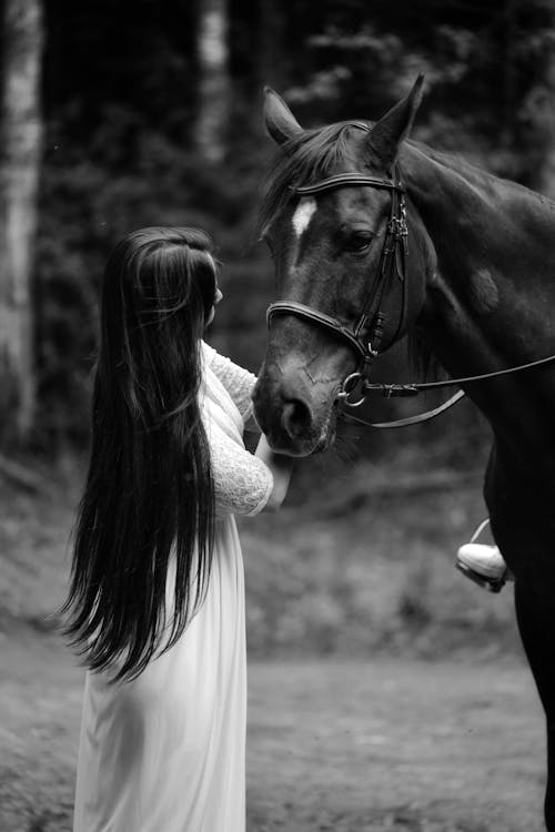 Woman Calming a Horse