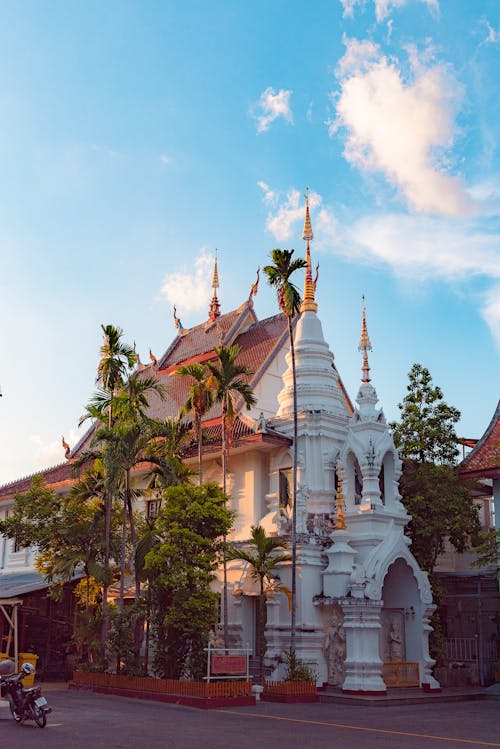 Wat Chiang Man among Palm Trees