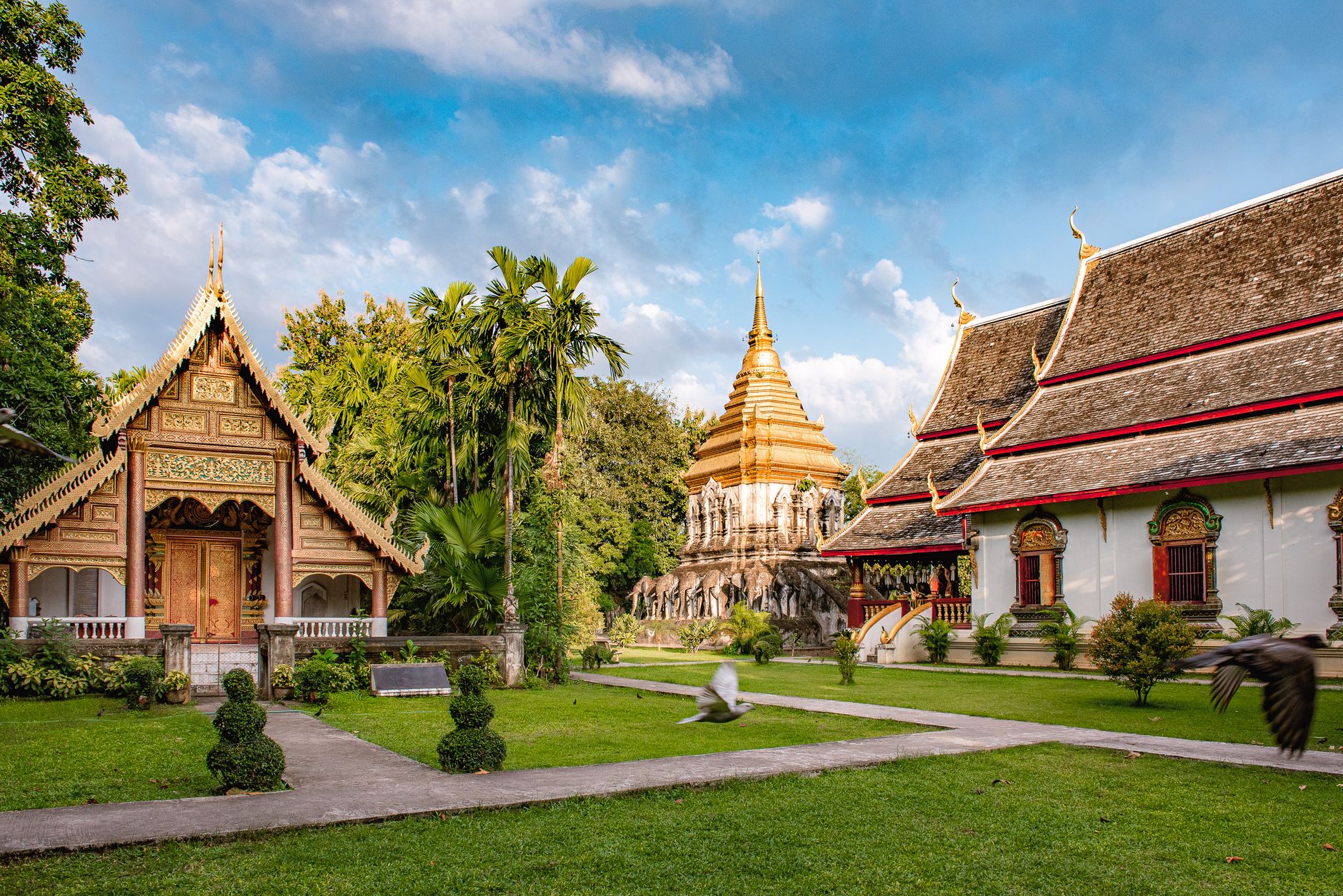 Airport transfers in Chiang Mai Airport transfers in Chiang Mai